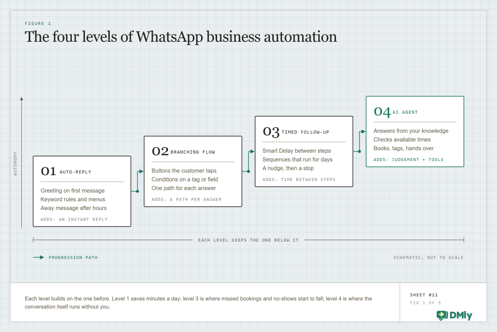Diagram of four levels of WhatsApp business automation: auto-replies and keyword rules, branching flows with buttons and conditions, timed follow-ups with delays and sequences, and an AI agent that answers, checks slots and books