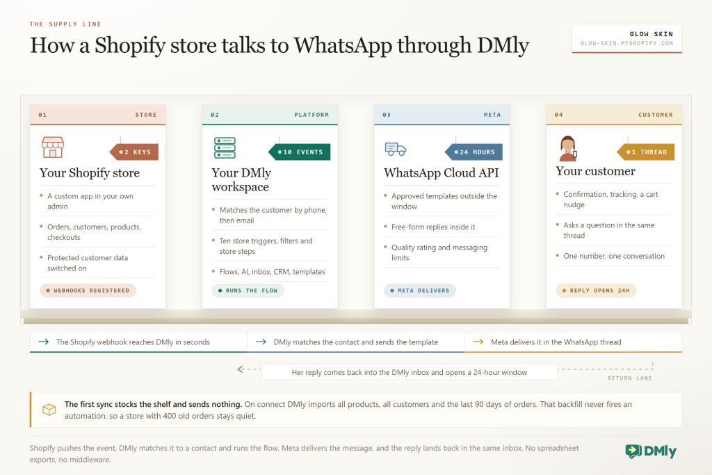 Four product cards standing on a shop shelf, tracing the path from a Shopify store to a customer: the store with its custom app and two credentials, the DMly workspace with ten store triggers, the WhatsApp Cloud API with its 24-hour window, and the customer with one thread. A shelf-edge rail below spells out the three handoffs, a dashed return lane runs back from the customer to DMly, and a note records that the first sync imports all products, all customers and the last 90 days of orders without firing an automation.