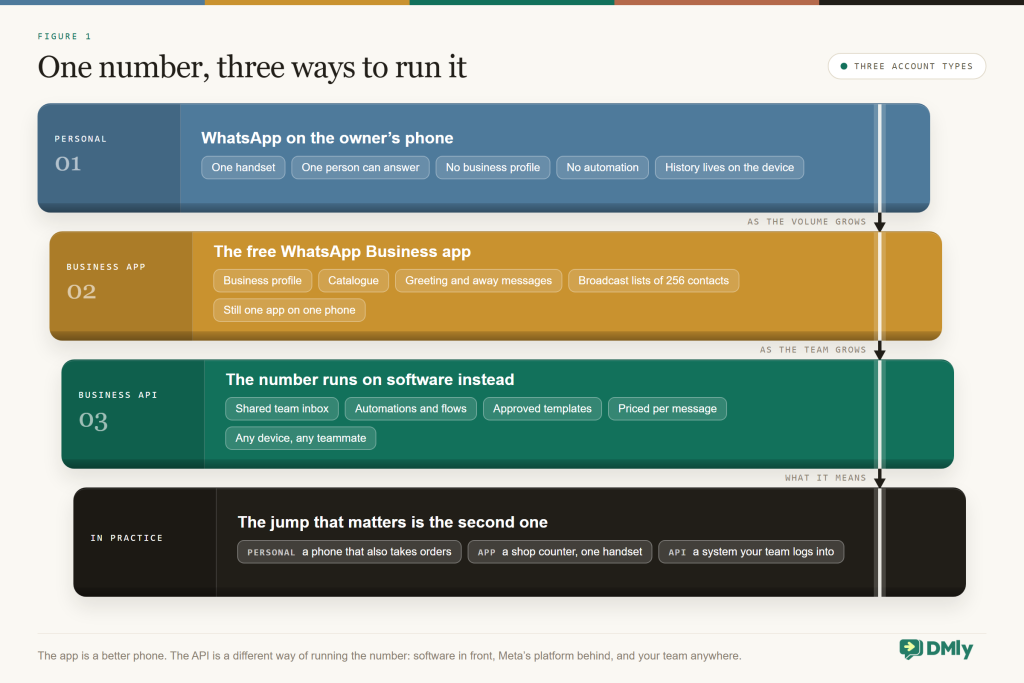 Diagram comparing the three ways to be on WhatsApp as a business: personal WhatsApp on one phone, the free WhatsApp Business app with a profile, catalogue and 256-contact broadcast lists, and the WhatsApp Business API with a shared inbox, automation, templates and per-message pricing