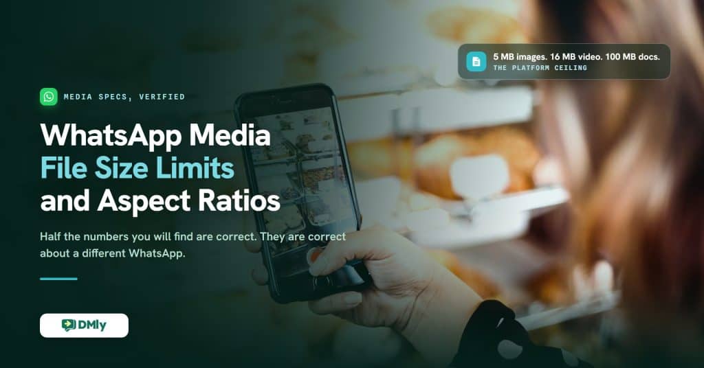 A hand holding a phone photographing a bakery display case beside the headline WhatsApp Media File Size Limits and Aspect Ratios, with a card giving the platform ceiling of 5 MB for images, 16 MB for video and 100 MB for documents.