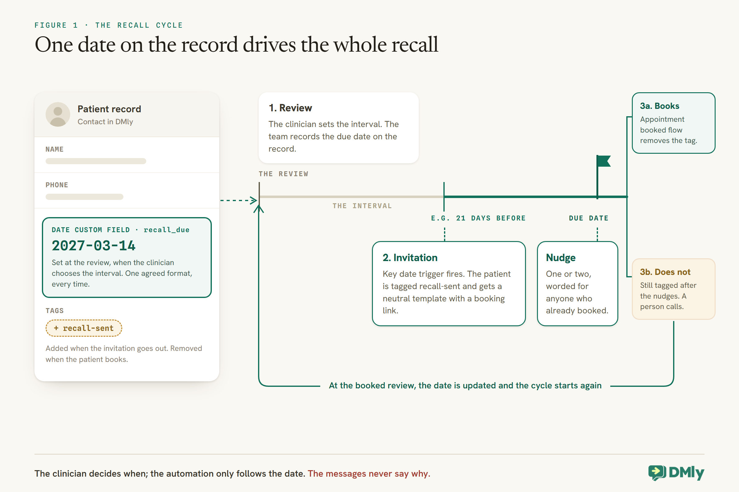 A patient record in DMly with a date custom field, recall_due, set to 2027-03-14 at the review, and a recall-sent tag added when the invitation goes out and removed when the patient books. From the record a timeline runs from the review, through the interval, to an invitation about 21 days before the due date, then a nudge on the due date. It splits into 3a, books, where an Appointment booked flow removes the tag, and 3b, does not, where a person calls. A line returns to the start: at the booked review, the date is updated and the cycle starts again.