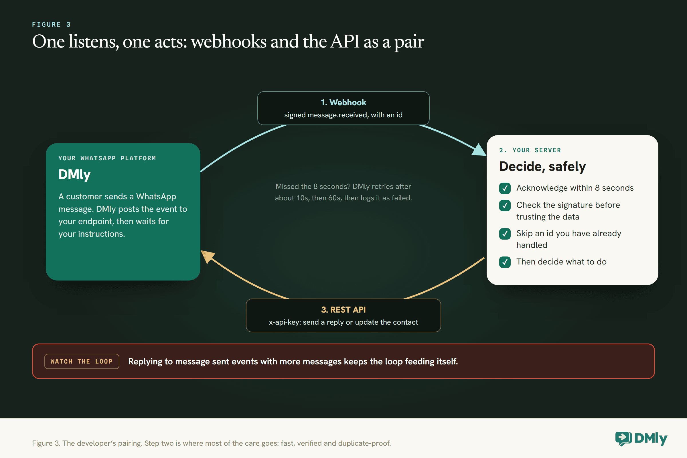 Loop diagram of webhooks and the REST API working as a pair. A customer sends a WhatsApp message and DMly sends a signed message.received webhook with an id to your server. Your server acknowledges within 8 seconds, checks the signature before trusting the data, skips an id it has already handled, then decides what to do, and calls the DMly REST API with an x-api-key to send a reply or update the contact. A note says a missed 8 seconds means DMly retries after about 10 seconds, then 60, then logs the delivery as failed, and a warning says replying to message sent events with more messages keeps the loop feeding itself.