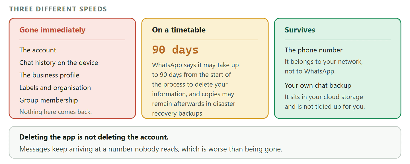 A diagram of what deleting a WhatsApp Business account removes and what survives. Gone immediately are the account itself, the chat history on that device, the business profile with its hours address and catalogue, the labels, and group membership. Deleted on a timetable is your information at WhatsApp, which may take up to ninety days from the start of the process, with copies possibly remaining afterwards in the backup storage used for disaster recovery. Surviving are the phone number itself, which belongs to your mobile network rather than to WhatsApp, and any chat backup you made to your own cloud storage, which sits outside WhatsApp and is not tidied up by deleting.