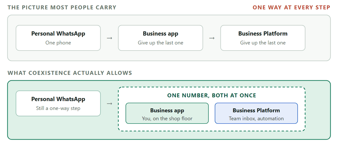 A diagram contrasting two pictures of moving between WhatsApp account types. The old picture is a one-way ladder: personal WhatsApp to the WhatsApp Business app to the Business Platform, with each step giving up the one before, and moving back meaning starting again. The current picture keeps the first step one-way, because moving a number off the personal app is a switch, but shows the Business app and the Business Platform running on the same number at the same time through coexistence mode, with messages typed on the phone appearing in the shared inbox.