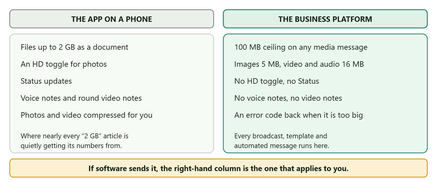 A two-column comparison of media rules on the consumer WhatsApp app against the WhatsApp Business Platform. The app column lists files up to 2 GB when sent as a document, an HD toggle for photos, Status updates, voice notes and round video notes, and automatic compression of photos and video. The platform column lists a 100MB ceiling on any media message, images capped at 5MB, video and audio at 16MB, no HD toggle, no Status, no voice notes and no video notes, and an explicit error code returned when a file is too large. A closing line notes that automation, broadcasts and templates all run on the platform side.