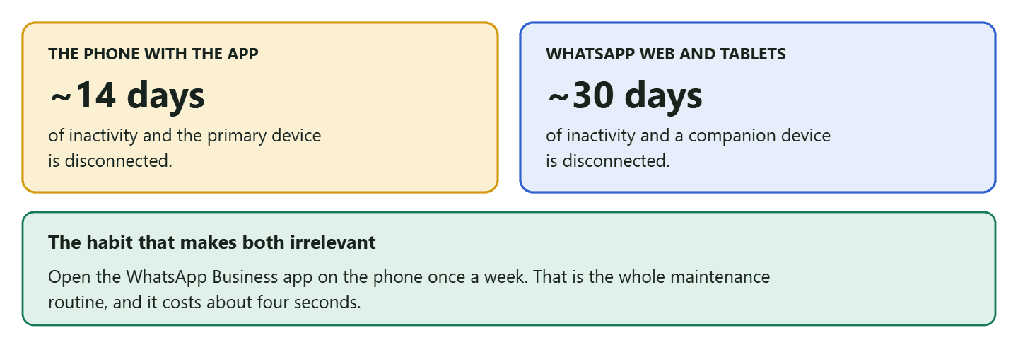 A diagram of the two inactivity clocks Meta documents for a WhatsApp coexistence setup: the primary device, meaning the phone holding the WhatsApp Business app, disconnects after roughly 14 days of inactivity, and companion devices such as WhatsApp Web or a linked tablet disconnect after roughly 30 days. A closing line notes that the fix in both cases is simply to open the app or relink the device, and that the practical habit is to open the business app on the phone at least once a week.