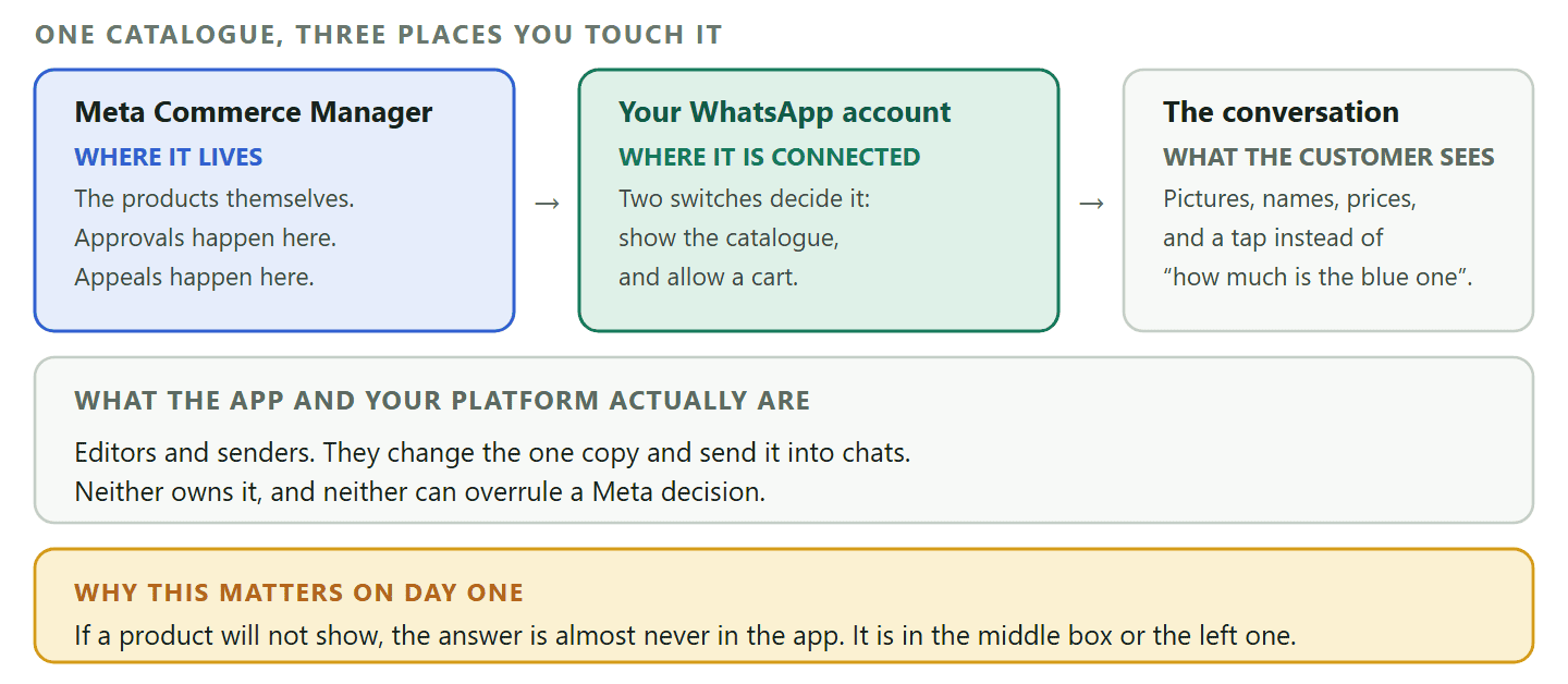 A diagram showing where a WhatsApp business catalog lives. The catalog itself is a structured inventory uploaded to Meta and held in Meta Commerce Manager, where product approvals and appeals also happen. It is connected to your WhatsApp Business Account, which controls whether the catalog and cart appear in chat. The WhatsApp Business app and any connected platform are only editors and senders: they change the same single copy and cannot override a Meta decision. The customer sees the result inside the conversation.